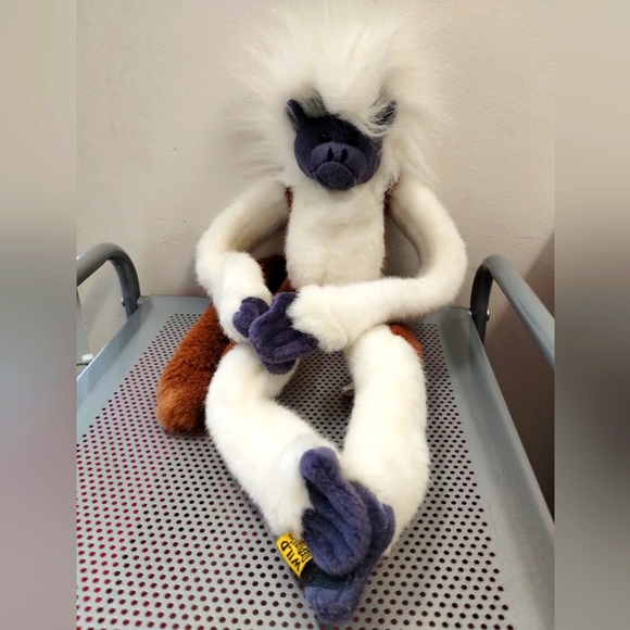 ✓Cotton Top Tamarin Monkey Brown White Wild Republic K & M Int'l Plush 18" Lovey - Picture 3 of 17